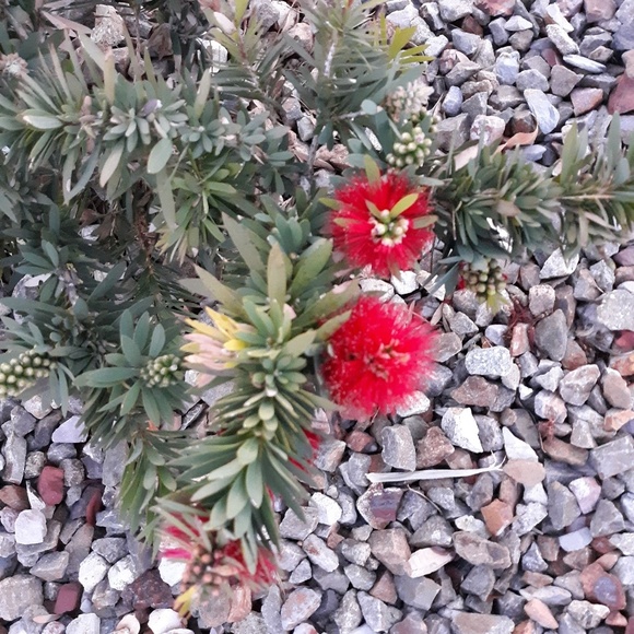 Meet your Posher, Neil - Picture 1 of 1